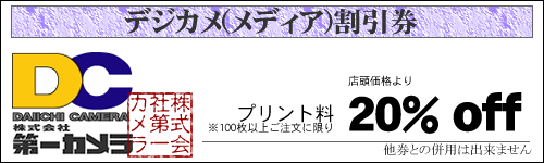 coupon-3.png