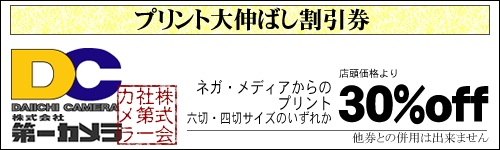 coupon-5.png